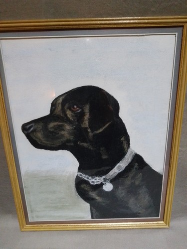 Original black labrador - black,