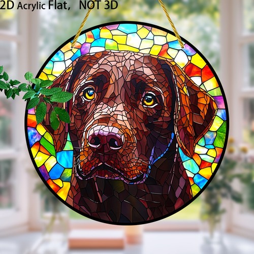 Chocolate labrador acrylic - labrador,