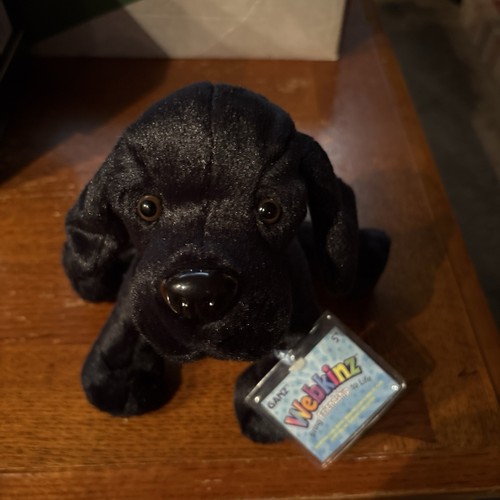 Webkinz black labrador - webkinz,