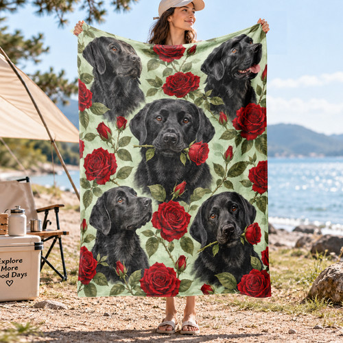 Black labrador red - black,