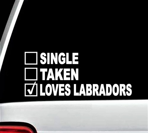 Single taken loves labrador - loves,