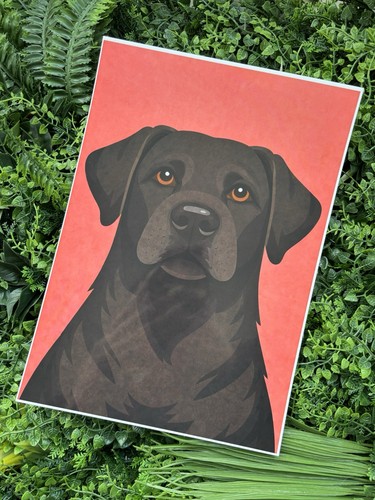 Black labrador retriever - black, a4