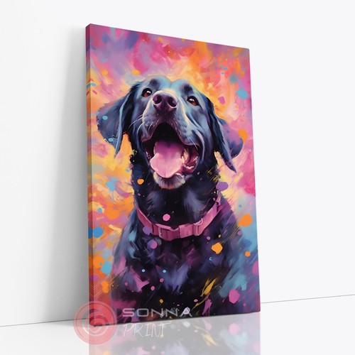 Stunning black labrador pet - black,