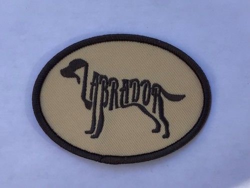 Unique labrador retriever - labrador,