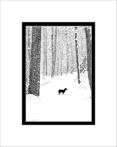 Duncan the snow - snow, print,
