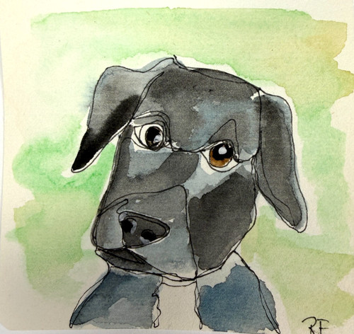 Black labrador puppy - labrador, mini