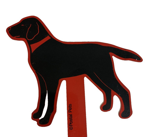 Black labrador retriever - labrador,