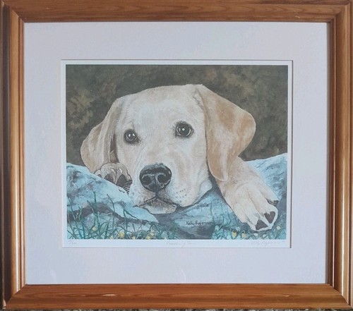 Kathy hagerman labrador - kathy, "labrador
