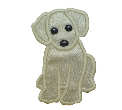 Labrador puppy dog - x,