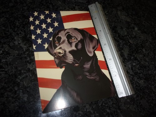 American patriotic labrador - -,