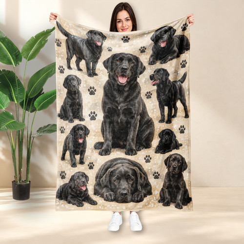 Black labrador retriever dog - black,