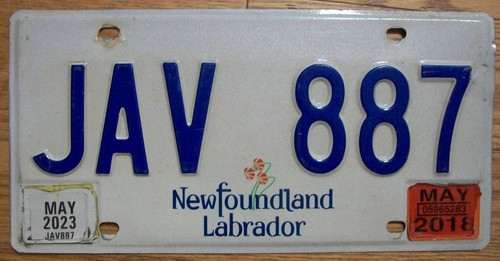 Single newfoundland - newfoundland, &