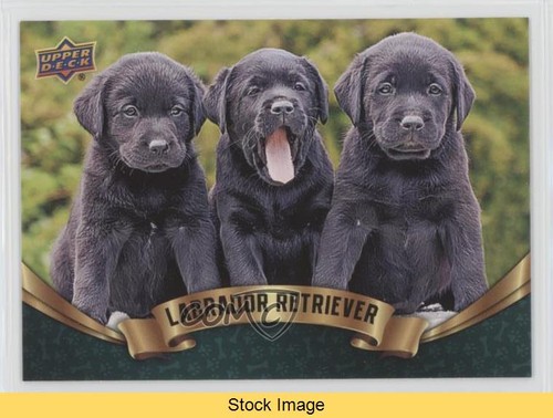 2018 upper deck - upper,