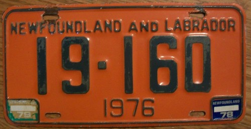 Single newfoundland - single,