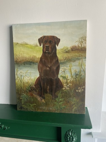 Painting chocolate labrador - chocolate,
