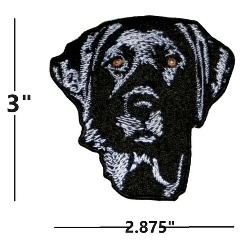 Black lab labrador retriever - lab,