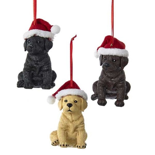 Labrador retriever santa - retriever, hat