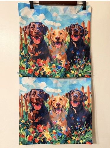 Spring labrador retriever - spring,