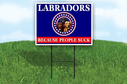 Labradors because people - labradors,