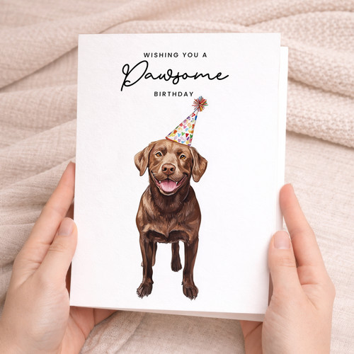 Chocolate labrador birthday - chocolate,