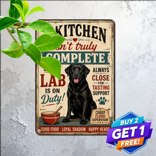 Black labrador retriever - black,