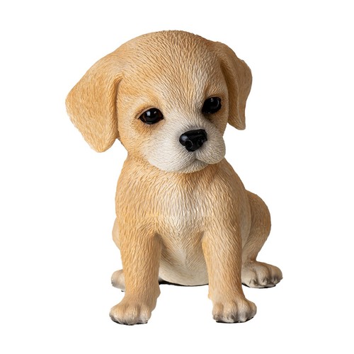 Labrador puppy inch - puppy, -6