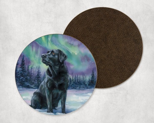Labrador retriever dog - labrador,