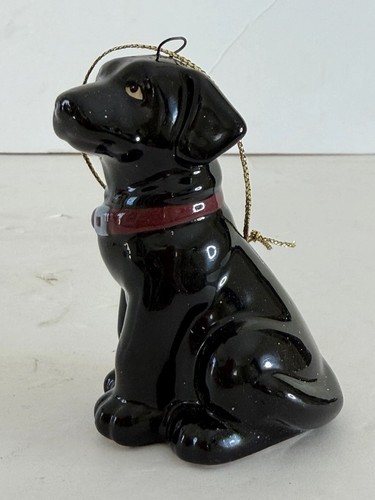 Black labrador retriever - black,