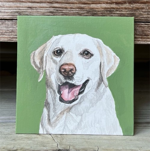 5x5 labrador retriever dog - 5x5,