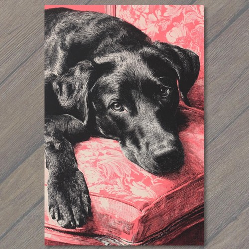 Art print black labrador - art,