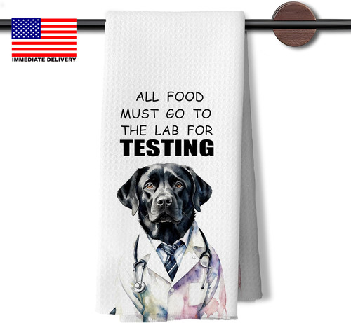 Funny black labrador - funny,