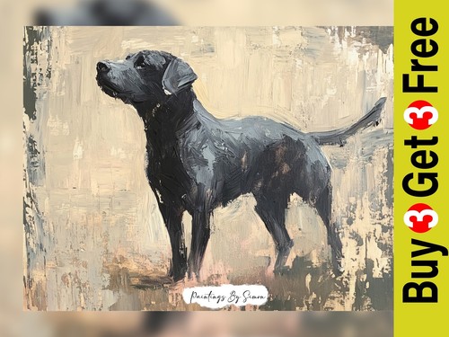 Expressive black labrador - black,