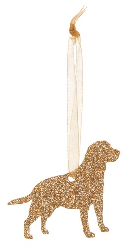 Labrador retriever dog - dog, a