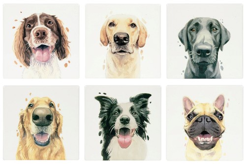 Dog breed design single - dog,