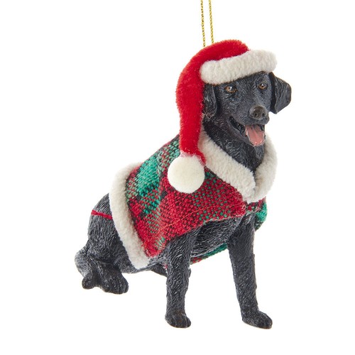 Labrador retriever with plaid - labrador,