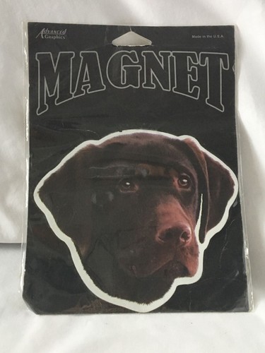 Magnet chocolate lab labrador - magnet,
