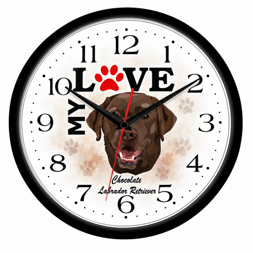 Chocolate labrador retriever - labrador,