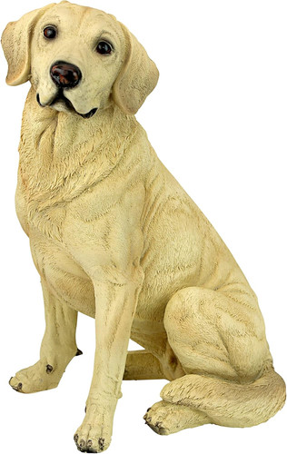 Golden labrador retriever dog - golden,