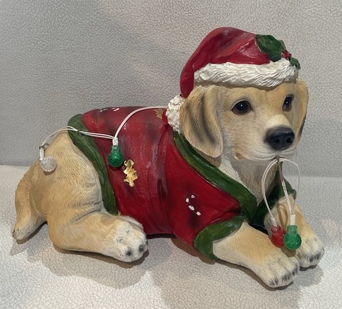 Yellow labrador dog wrapped - yellow, in