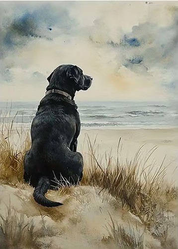 Labrador dog beach - dog, print