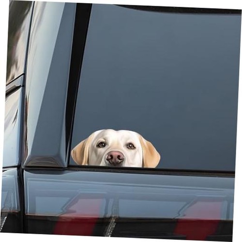 Labrador retriever peeking dog - labrador,