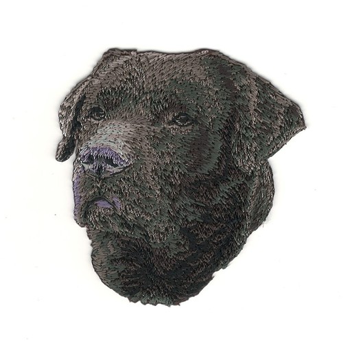 Black lab patch embroidered - lab,