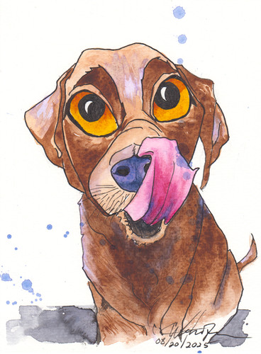 Dog animal watercolor - dog,, animal,