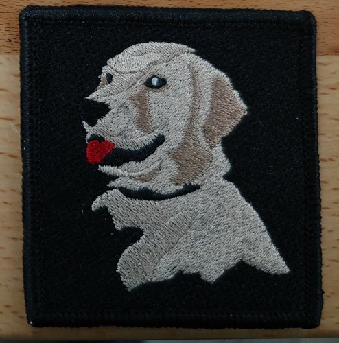 Labrador service dog - labrador,