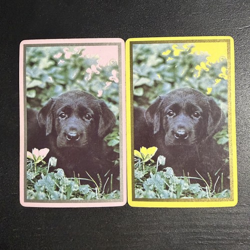 Vtg black labrador - black, ppuppy