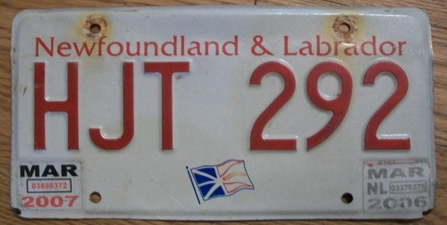 Single newfoundland - newfoundland, &