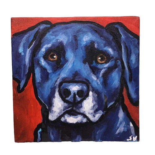 Blue dog lab - blue, labrador