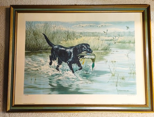 Good fetch black - good,