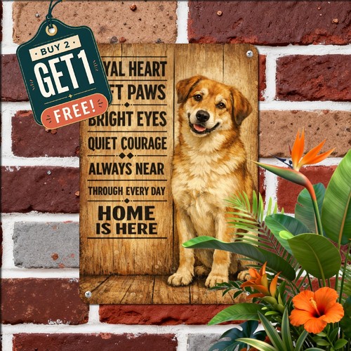 Loyal labrador retriever dog - labrador,