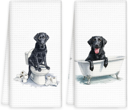 Funny black lab - funny, dog